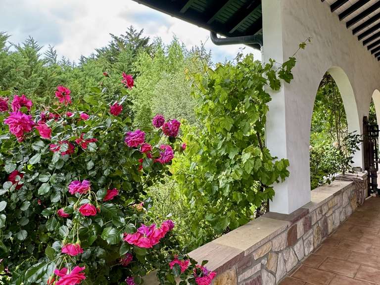 Maison Urrugne - 4 chambres - 292m²