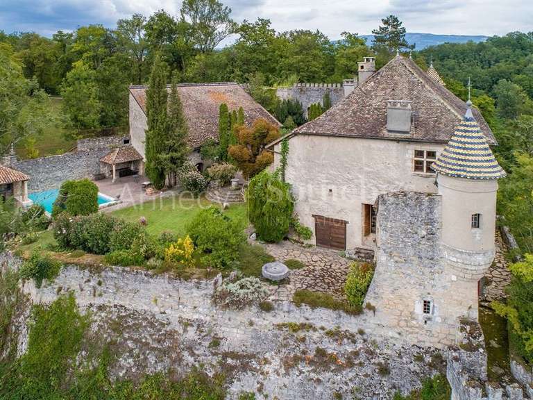 Château Usinens - 8 chambres - 685m²