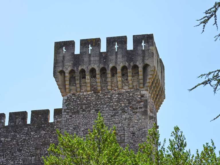 Castle Uzès - 14 bedrooms - 1100m²