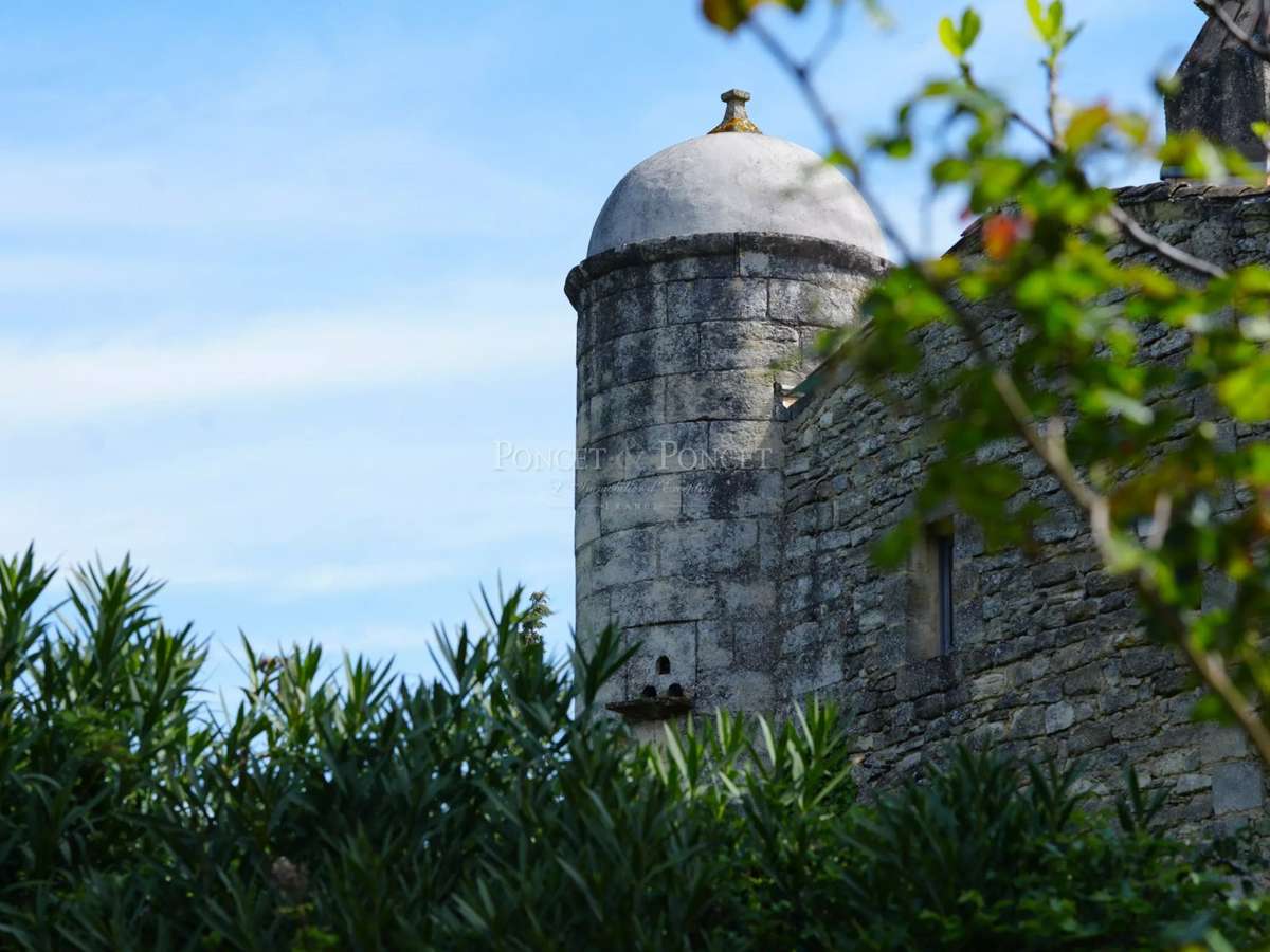 Castle Uzès