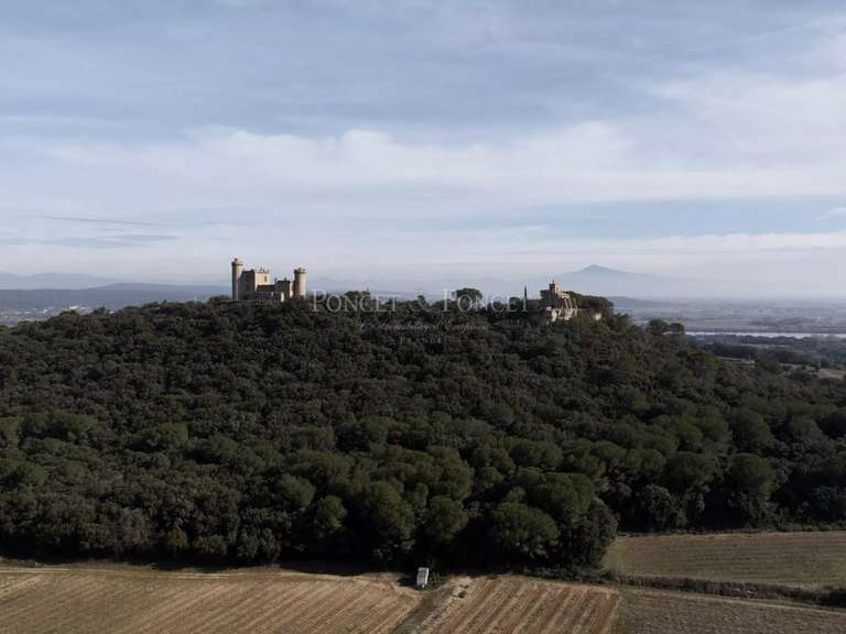 Castle Uzès - 7 bedrooms - 640m²