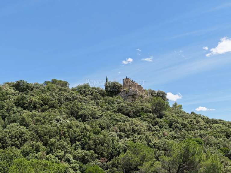 Castle Uzès - 7 bedrooms - 640m²