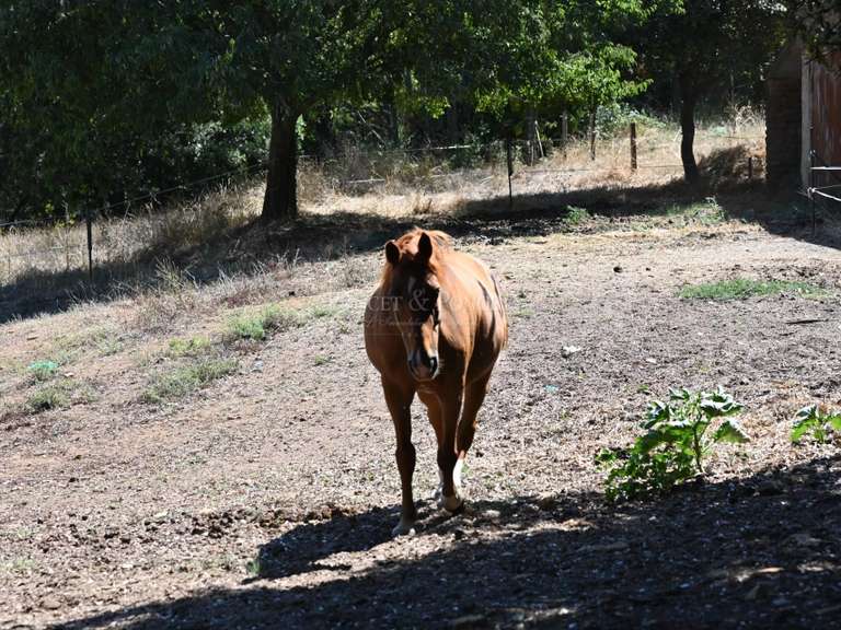 Château Uzès - 9 chambres - 374m²