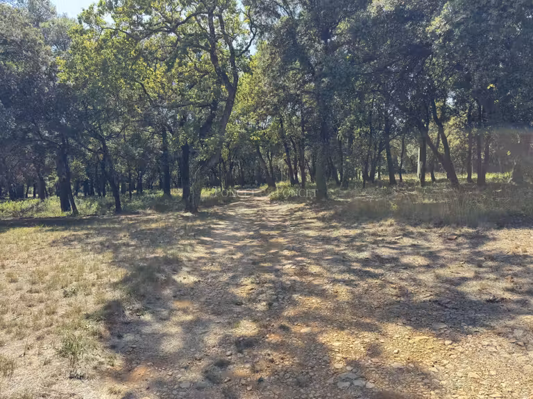 Château Uzès - 9 chambres - 374m²