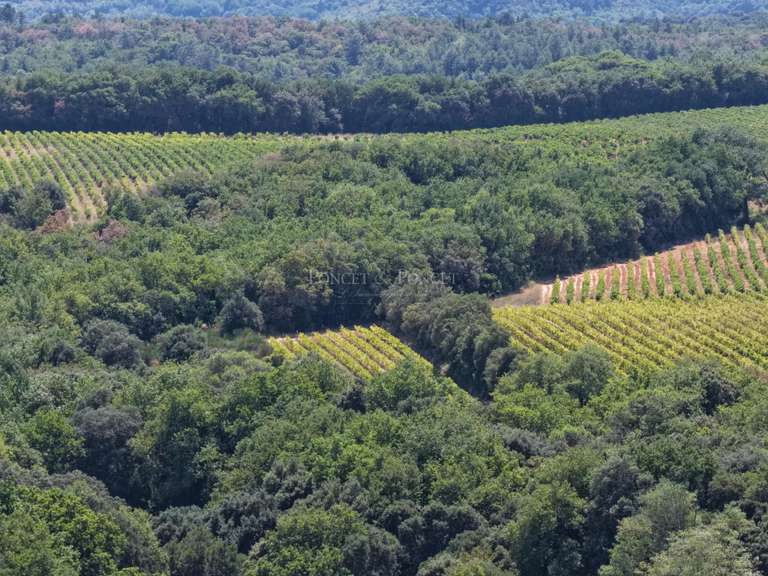 Château Uzès - 9 chambres - 374m²