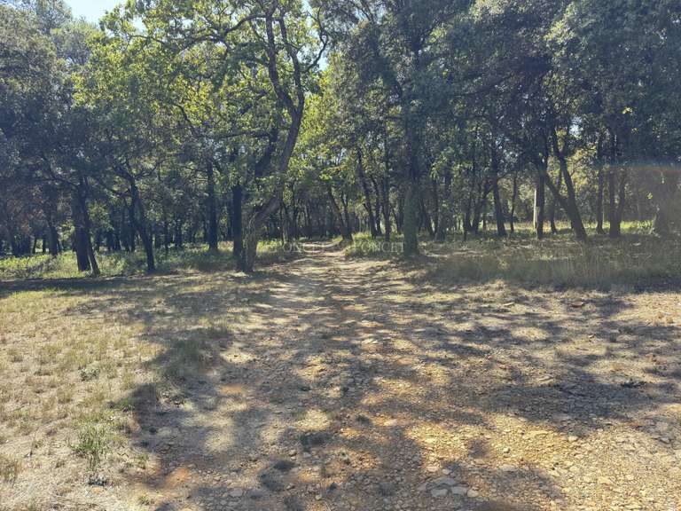 Château Uzès - 9 chambres - 374m²