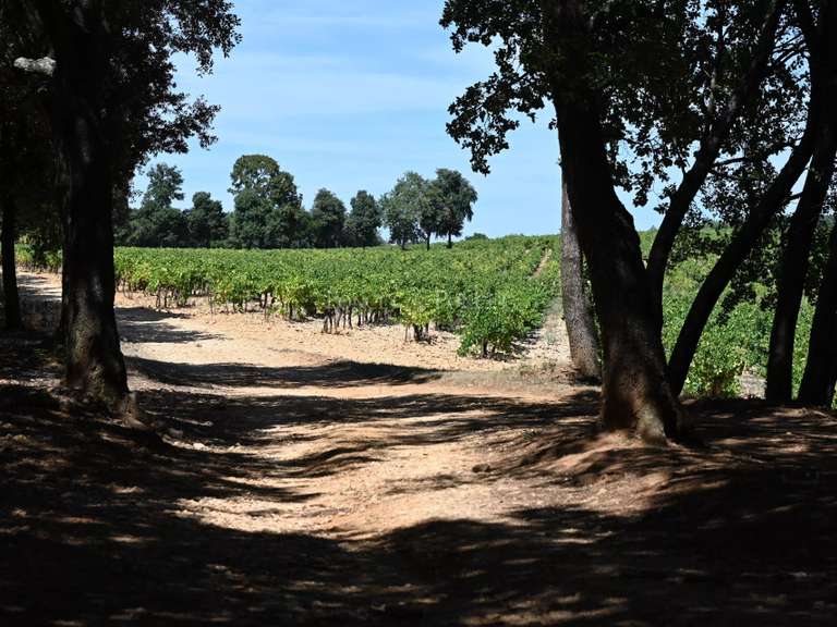 Château Uzès - 9 chambres - 374m²