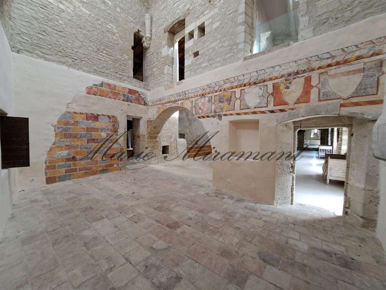 Castle Uzès - 7 bedrooms - 1500m²