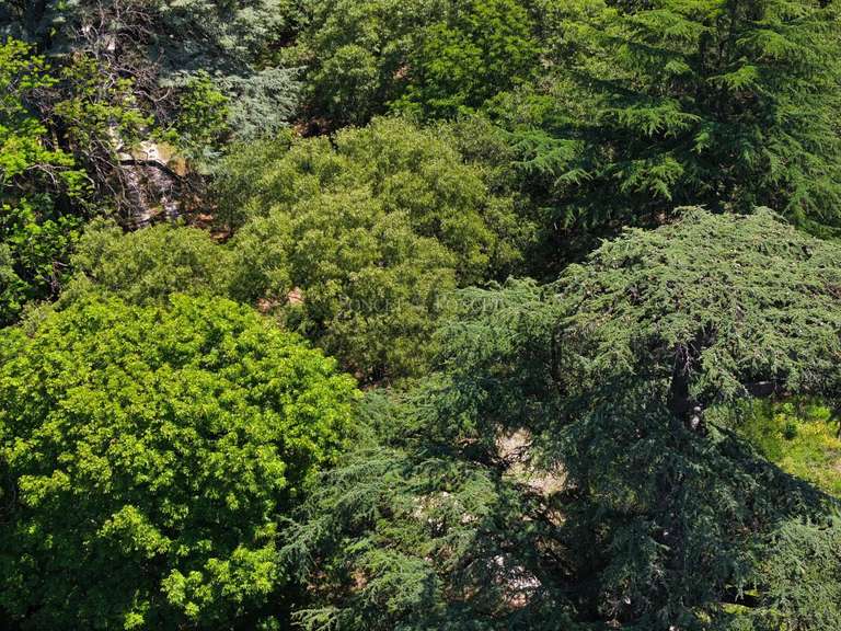 Château Uzès - 14 chambres - 1100m²