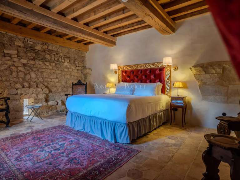 Castle Uzès - 22 bedrooms - 2500m²
