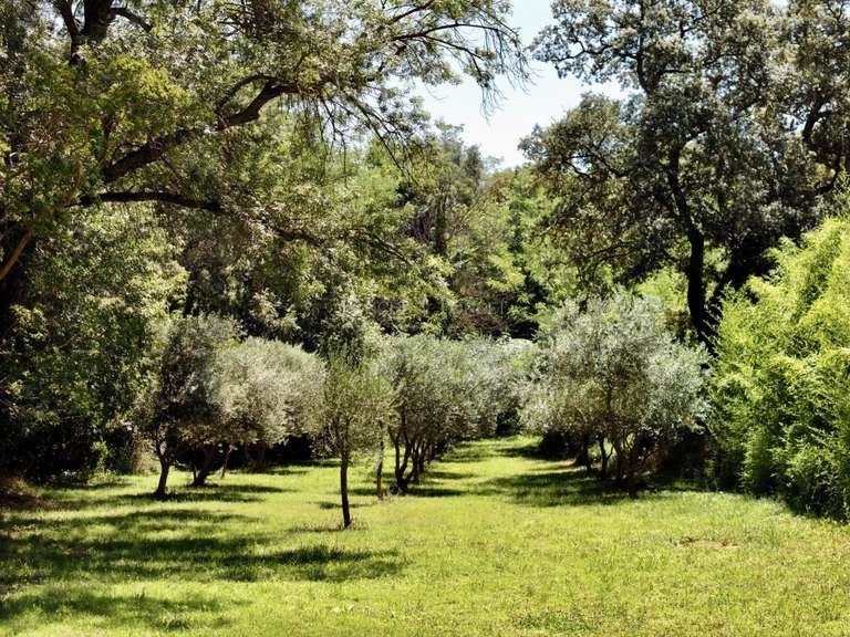 Castle Uzès - 19 bedrooms - 1250m²