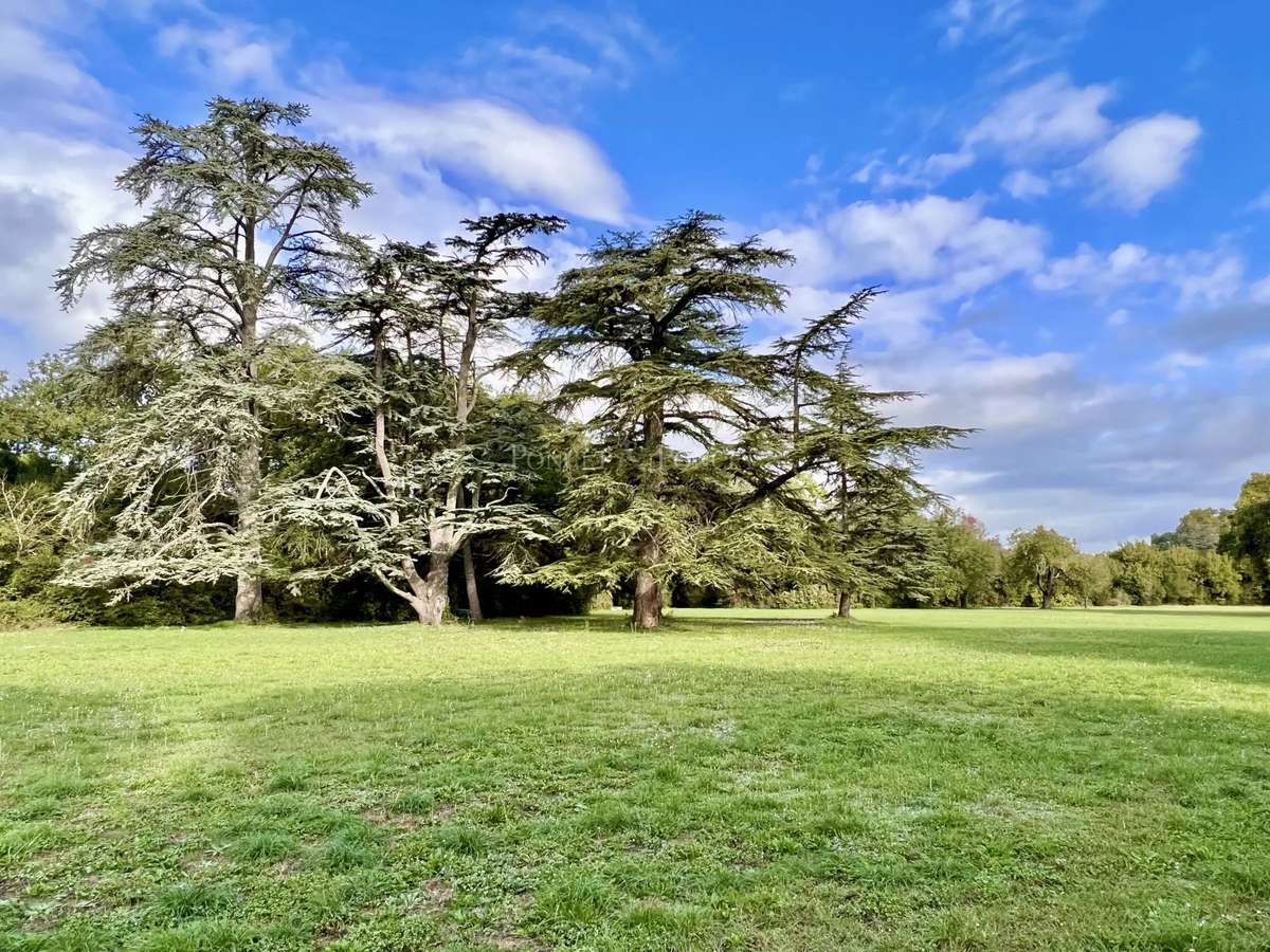 Château Uzès