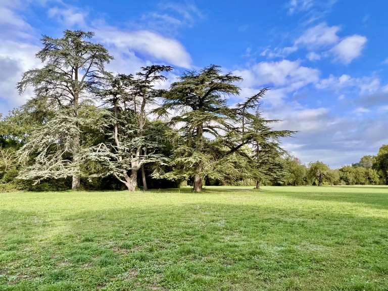 Château Uzès - 15 chambres - 2950m²