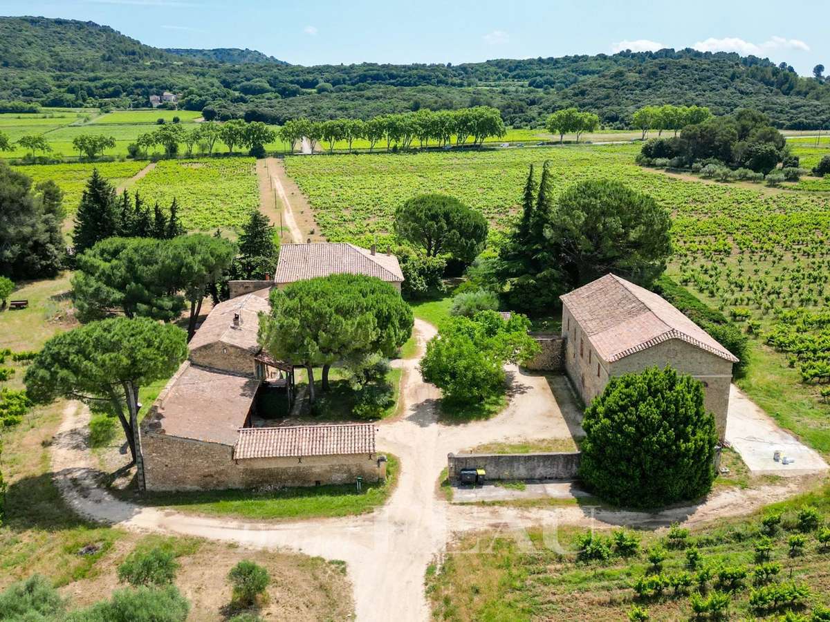 Vineyard Uzès