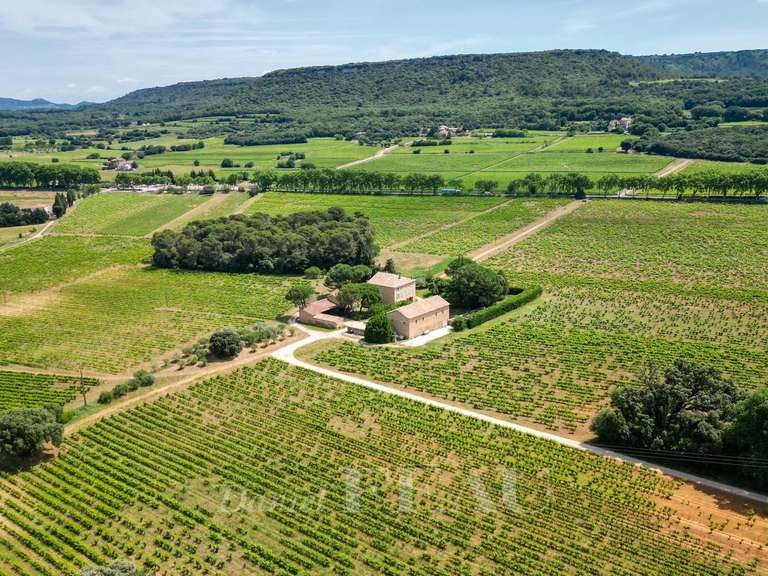 Vineyard Uzès - 6 bedrooms - 470m²