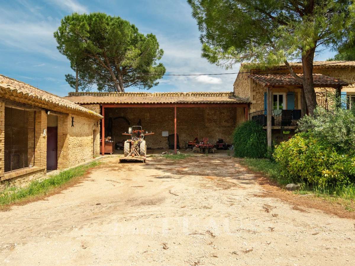 Vineyard Uzès