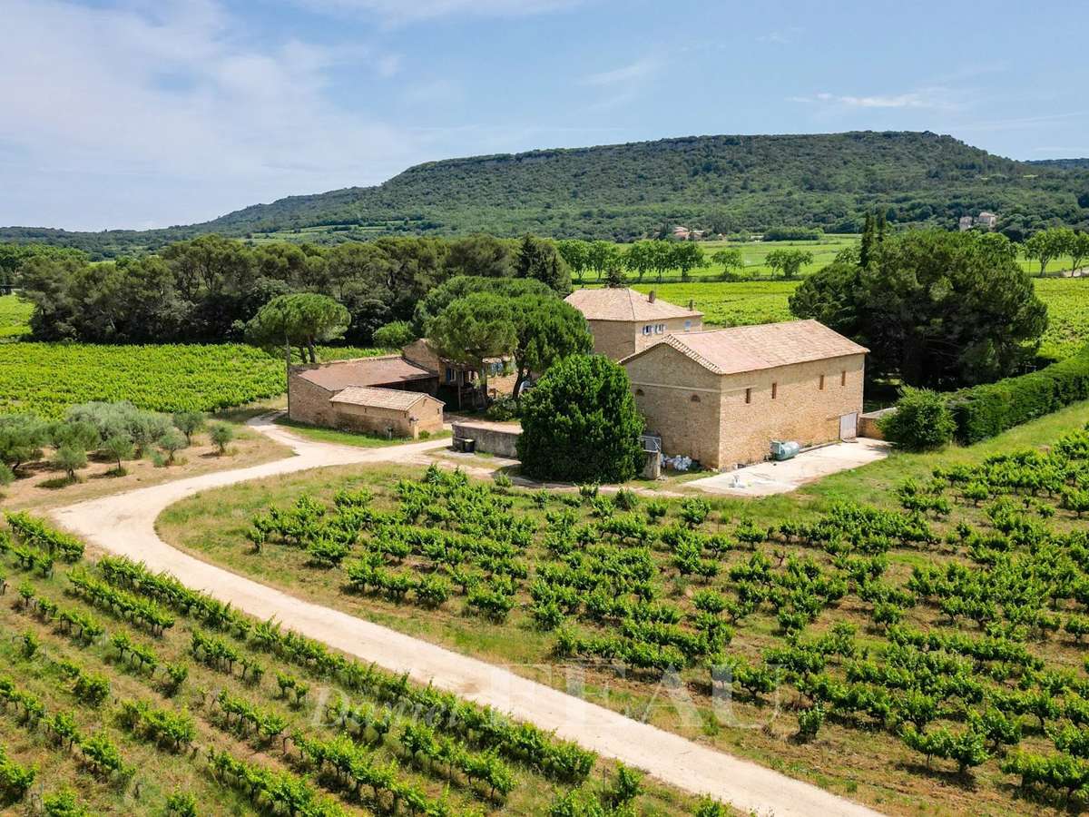 Vineyard Uzès