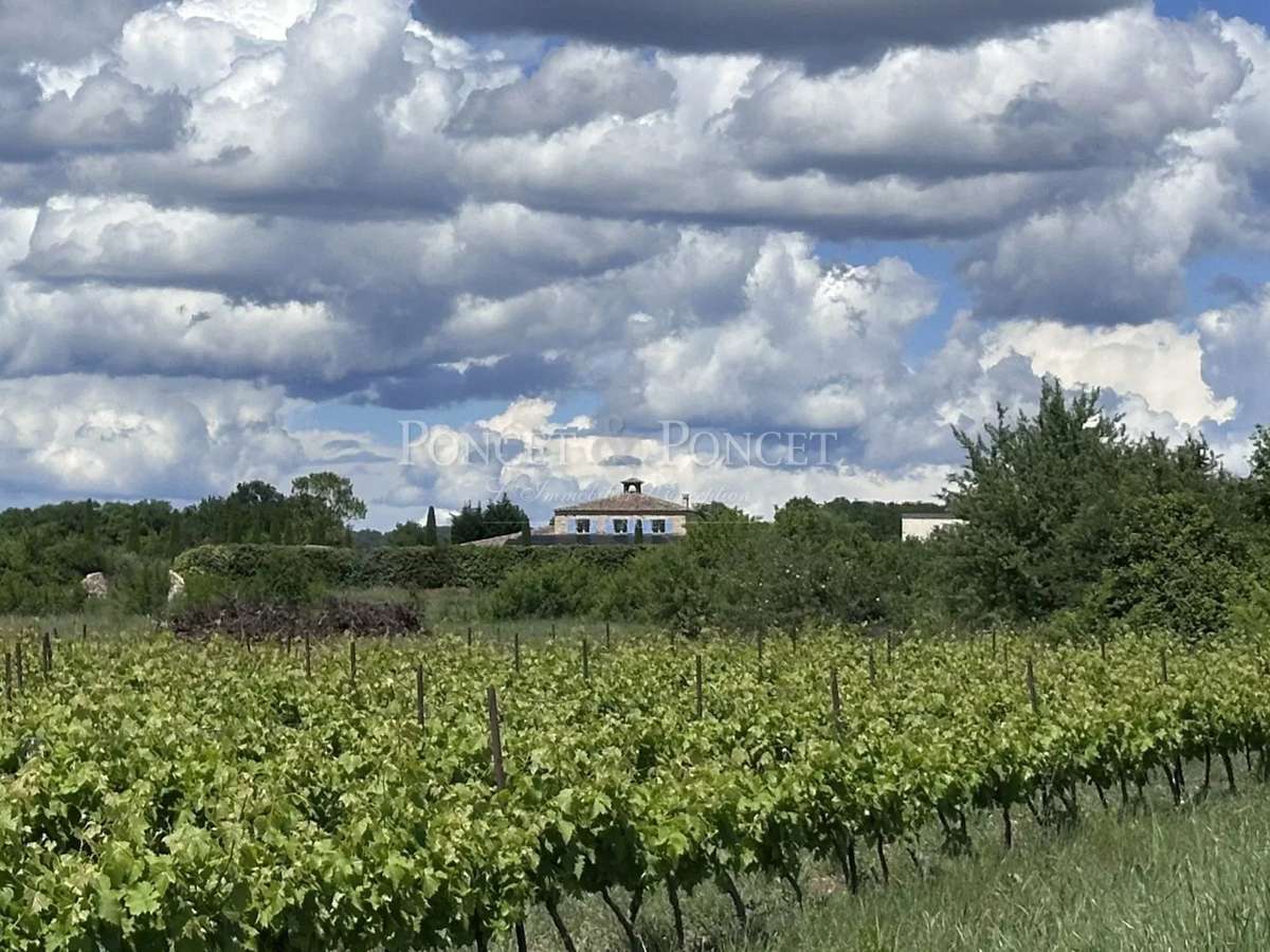 Domaine viticole Uzès