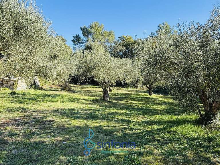 House Uzès - 5 bedrooms - 226m²