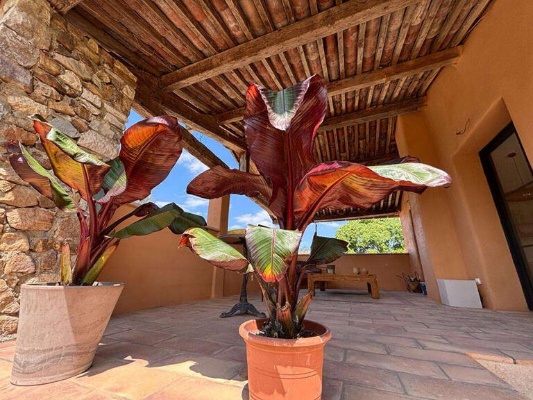 House Uzès - 4 bedrooms