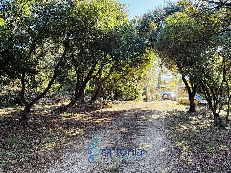 House Uzès - 5 bedrooms - 226m²