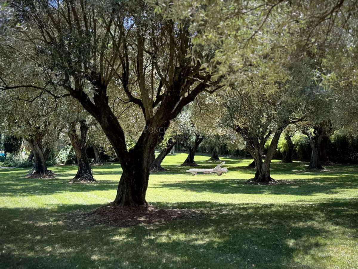 Maison Uzès