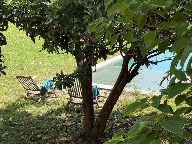 House Uzès - 6 bedrooms - 360m²