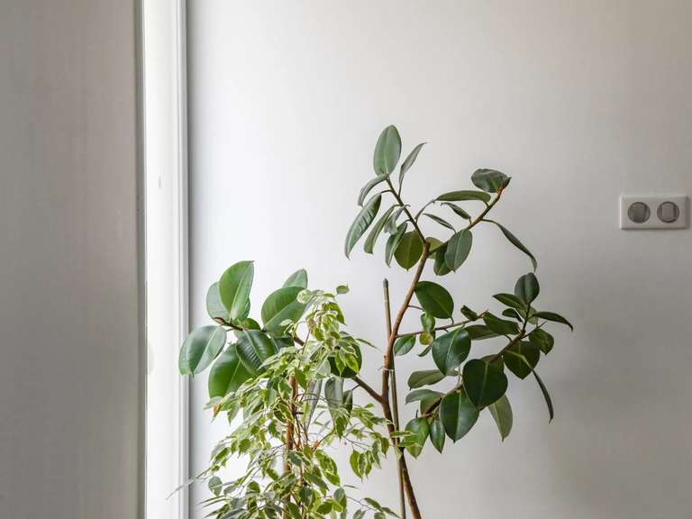 Maison Uzès - 3 chambres - 135m²