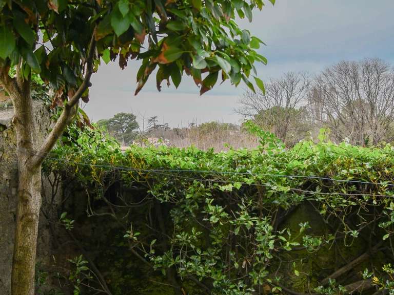 Maison Uzès - 3 chambres - 313m²