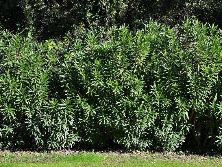 House Uzès - 4 bedrooms - 210m²