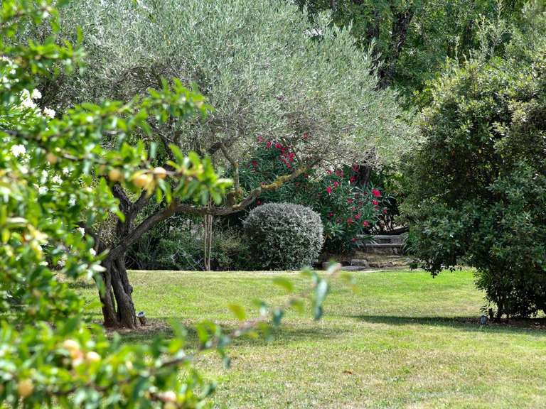 Maison Uzès - 8 chambres - 518m²