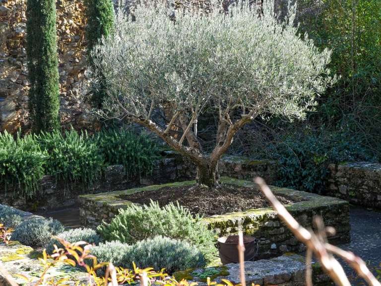 Maison Uzès - 4 chambres - 477m²
