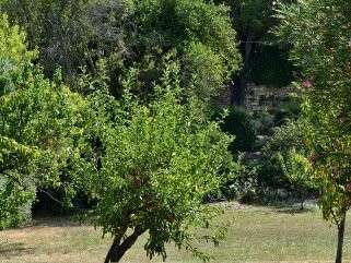 Maison Uzès - 4 chambres - 348m²