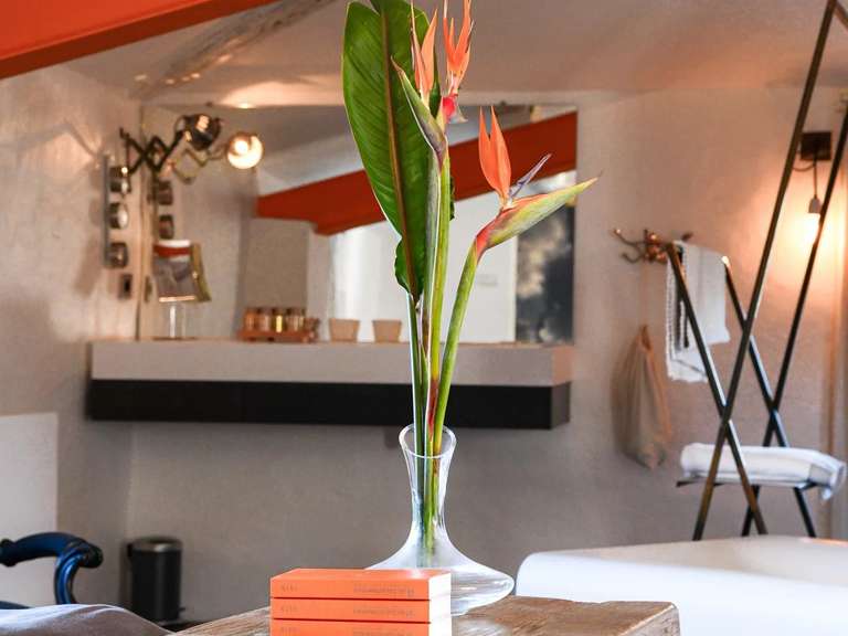 Maison Uzès - 16 chambres - 1070m²