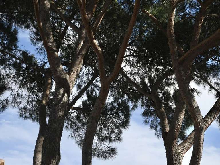 Maison Uzès - 3 chambres - 175m²