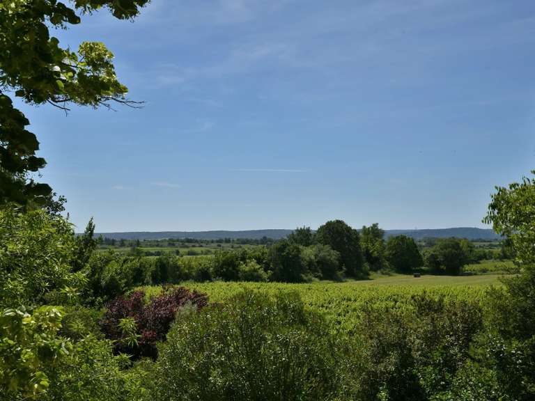 Maison Uzès - 5 chambres - 250m²
