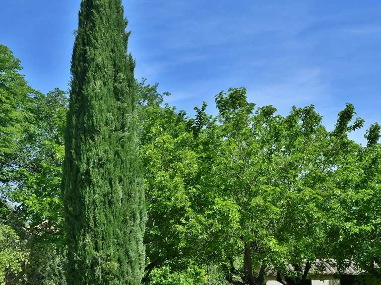 Maison Uzès - 5 chambres - 250m²