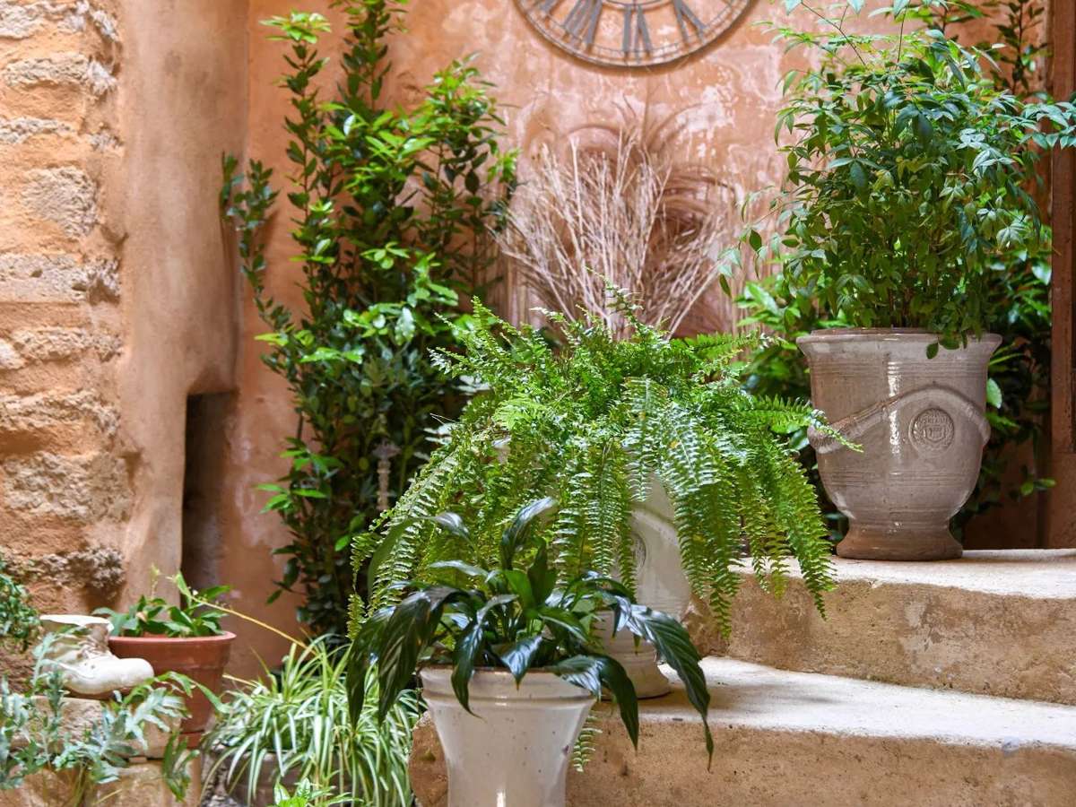 Maison Uzès