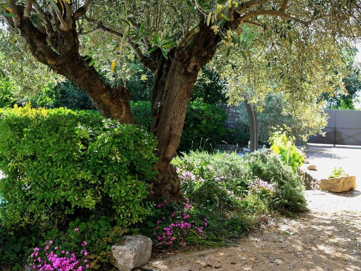 Maison Uzès