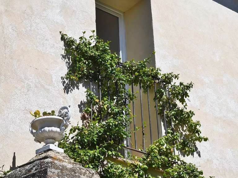 Maison Uzès - 4 chambres - 214m²
