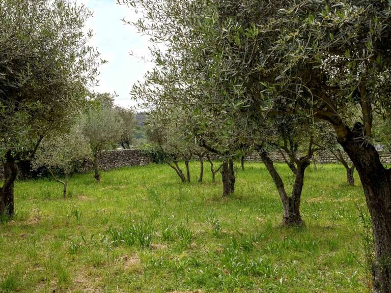 Property Uzès - 5 bedrooms - 256m²