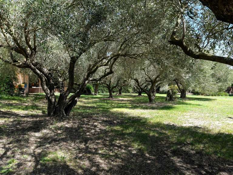 Property Uzès - 4 bedrooms - 242m²