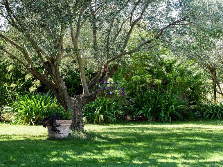 Propriété Uzès - 3 chambres - 213m²