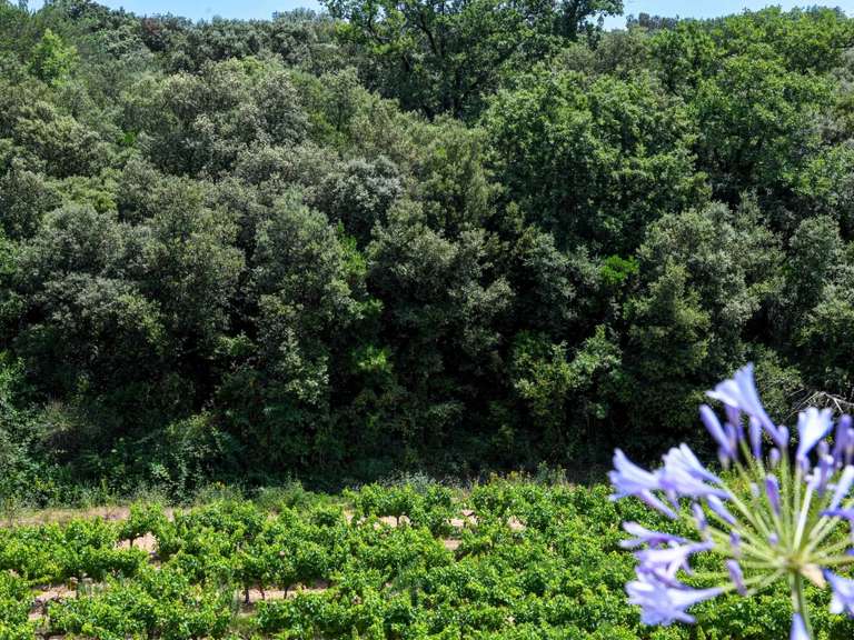 Propriété Uzès - 8 chambres - 522m²