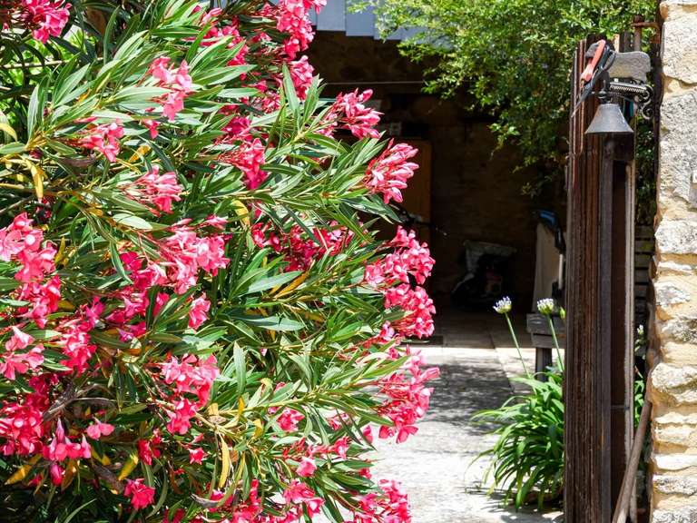 Propriété Uzès - 8 chambres - 522m²