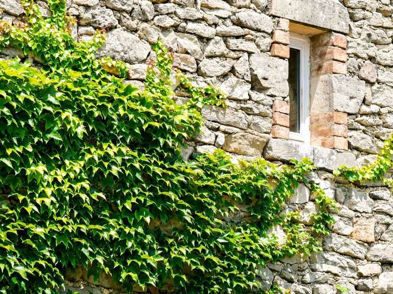 Property Uzès - 6 bedrooms - 356m²