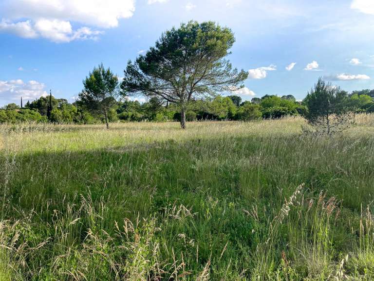 Propriété Uzès - 4 chambres - 206m²