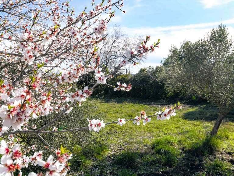 Propriété Uzès - 4 chambres - 206m²