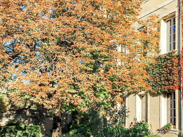 Propriété Uzès - 9 chambres - 996m²