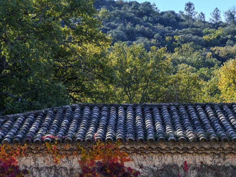 Propriété Uzès - 25 chambres - 1695m²